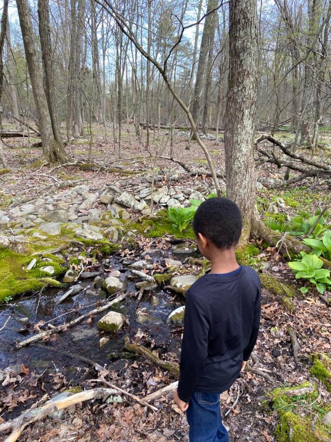 Saw Creek Cabin - Regent Hilltop Bushkill Zewnętrze zdjęcie