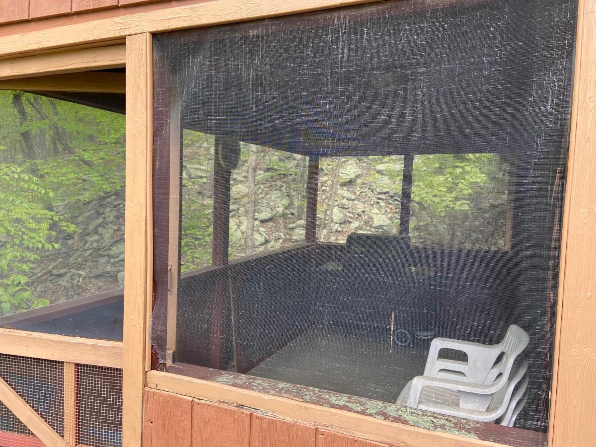 Saw Creek Cabin - Regent Hilltop Bushkill Zewnętrze zdjęcie